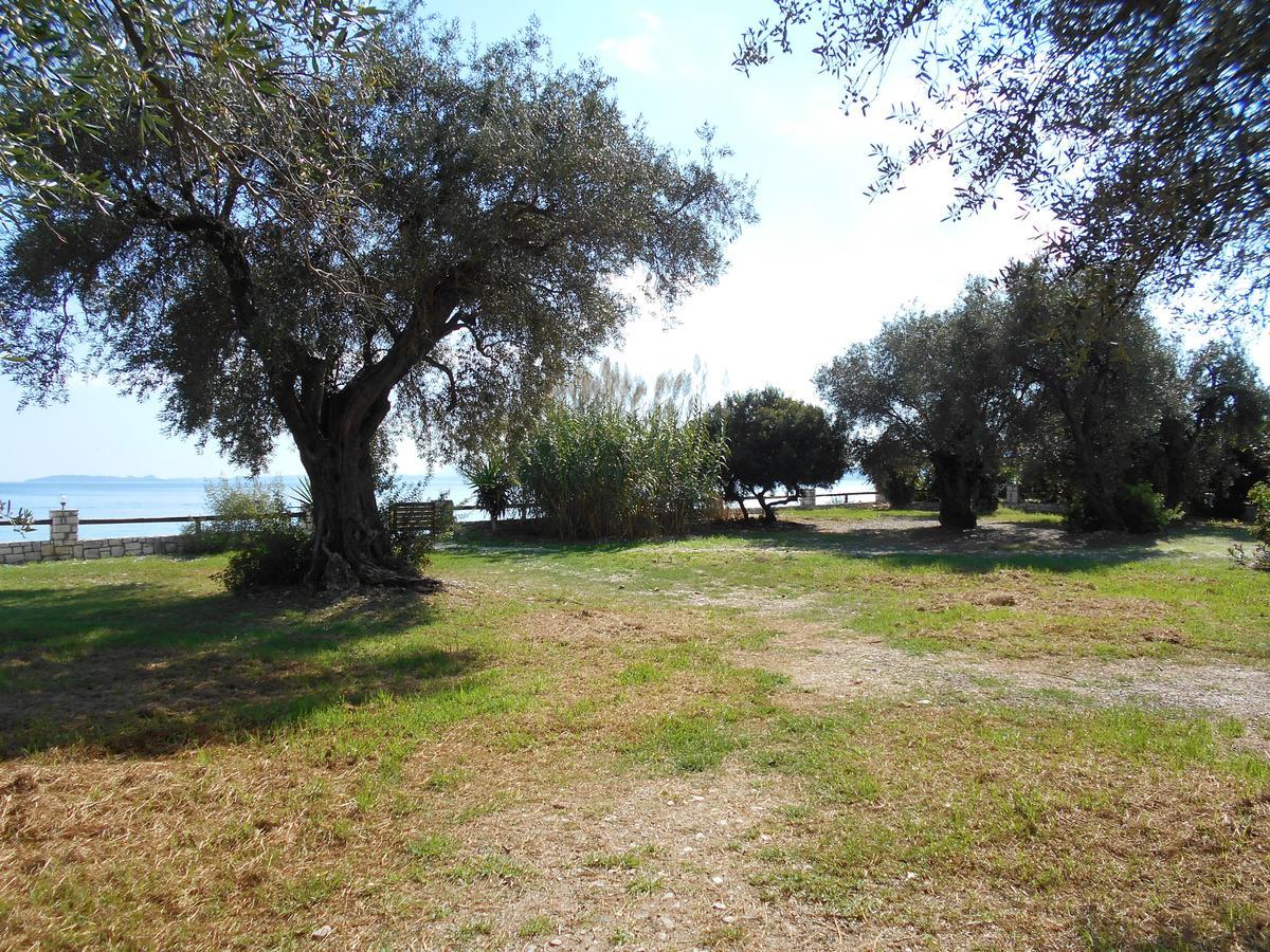 Lukia Barbati Mare Villa Exterior photo